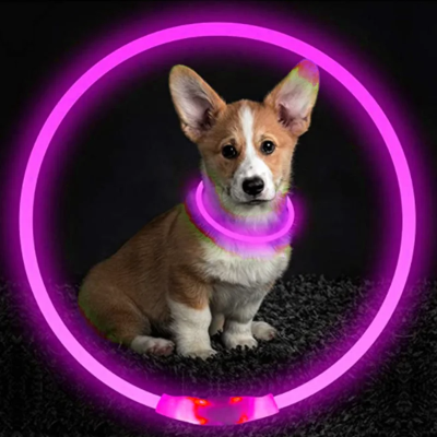 Collier Chien - DogCollarLight™ - Rose